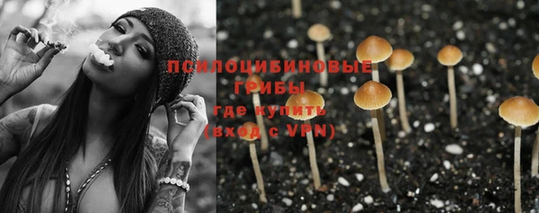 тгк Алексеевка